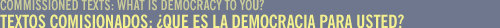 TEXTOS COMISIONADOS:QUE ES LA DEMOCRACIA PARA USTED? / COMMISSIONED TEXTS: WHAT IS DEMOCRACY TO YOU?